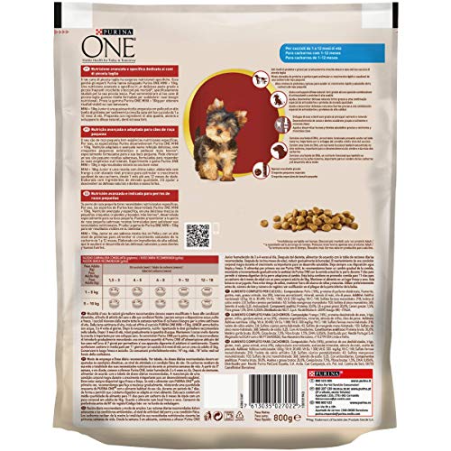 Purina ONE Mini Croquetas de Perro Junior Rico en Pollo, con arroz, para Perros de hasta 10 kg, 8 Sacos de 800 g Cada uno