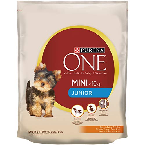 Purina ONE Mini Croquetas de Perro Junior Rico en Pollo, con arroz, para Perros de hasta 10 kg, 8 Sacos de 800 g Cada uno