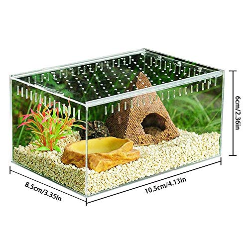 QLKJ Caja De CríA Caja De Cultivo De Reptiles AcríLicos Transparentes Spider, Tortuga, Rana Toro, Serpiente, Caja De AlimentacióN Completa De Insectos,S