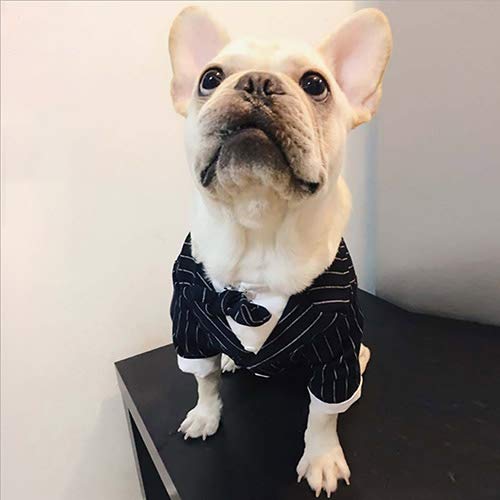 QNMM Mascota Ropa para Perros Pequeños Traje Elegante Pajarita Traje De La Boda Camisa Formal Traje De Boda Príncipe Traje De La Boda para El Banquete De Boda O Halloween,M