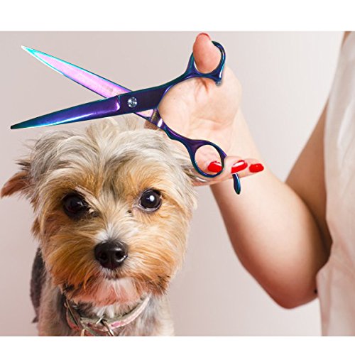 RCruning-EU Tijeras de Perro Set 7inch Stainless Steel Scissor with Combs Trimmer Kits Kit de Peluquería Canina Perros y Gatos for Perros Gatos Mascotas-Colorful