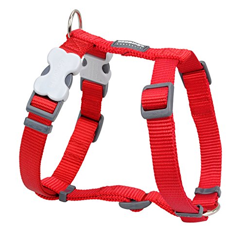 Red Dingo GmbH 9330725051768 Petral Perro,  Rojo, L, 20mm, Cuello  36-59cm, Cuerpo 45-66cm