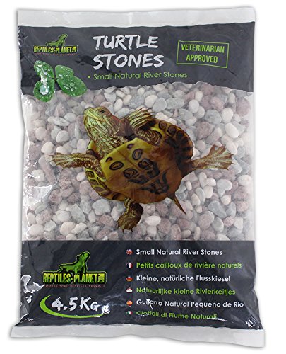 Reptiles Planet pequeño Piedras de Río Colores Naturales para Tortuga acuáticos Turtle Stones 4,5 kg