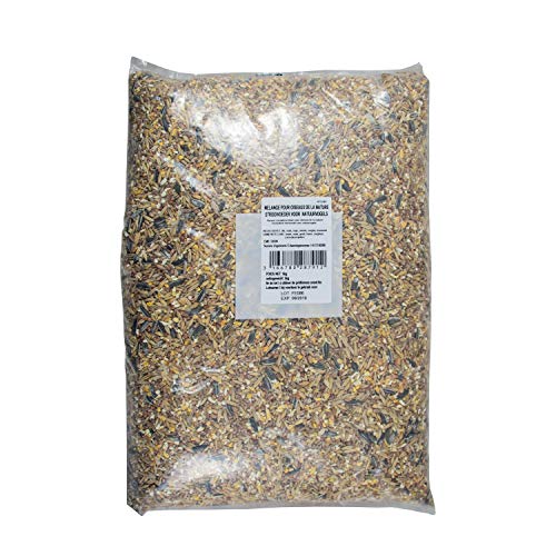 Riga (petfood pájaros de la Naturaleza cojín 5 kg – Lote de 1