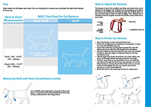 Rogz Catz Alleycat - Correa y arnés