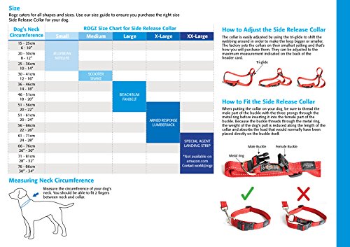 Rogz Collar Perros, Reflectante y Extragrande de 2,54 cm