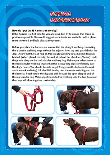 Rogz Utilidad tamaño Mediano 5/8-inch Serpiente Reflectante Ajustable Perro h-Harness