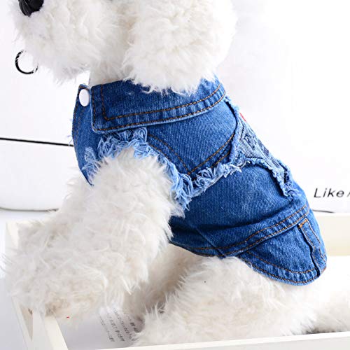 RTEAQ Abrigo Perro Chaqueta de Perro Mediana pequeña de Moda Ropa de Perro de Vaquero Chaleco de Invierno Abrigo de Mezclilla Bichon Pomerania Chihuahua Cachorro Ropa de Gato