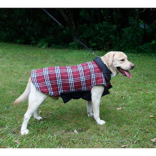 RTEAQ Ropa Mascotas Mediano Grande Ropa para Perros Invierno Abrigo para Perros Grandes Chaleco Chaleco Pug Bulldog inglés Stafford Golden Retriever Ropa Dropshipping