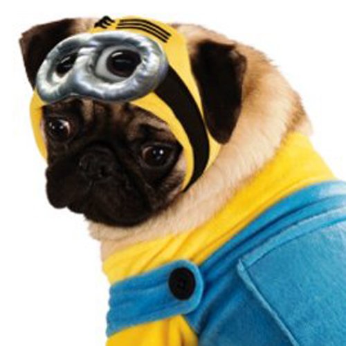 Rubies Traje Oficial de Minion para Perro