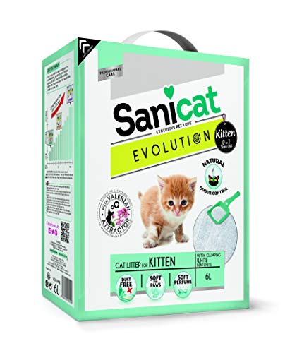 SANICAT Evolution Kitten, Arena de Gato Aglomerante - 6L