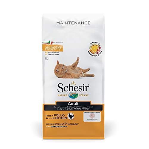 Schesir Gato pienso 10 kg Mantenimiento Pollo