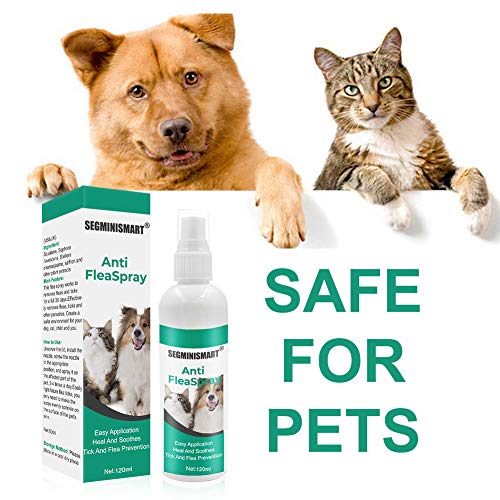 SEGMINISMART Pulgas Spray,Anti Pulgas,Flea Spray,Spray de protección contra pulgas y garrapatas para Perros,Pray Repelente de pulgas de Ingredientes Naturales para Perros Pulgas Garrapatas