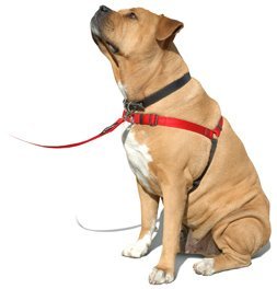 SENSE-ation No-Pull Dog Harness - Large/Wide (Black) by Sense-Ation Harness