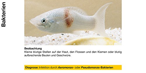 Sera (02170 omnipur S - Arzneimittel mit Breitbandwirkung gegen Die häufigsten Zierfischkrankheiten im Süßwasser Aquarium