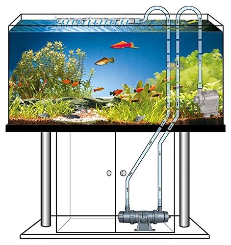 Sera - Sistema UVC, 5 W, un aclarador de Agua UVC de Alto Rendimiento contra el Agua Verde