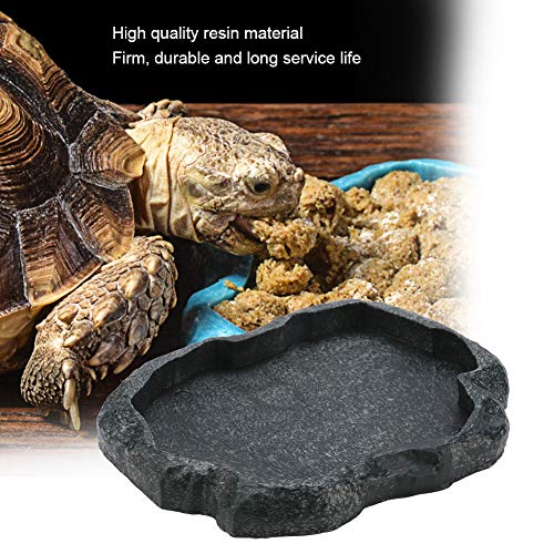 Sheens Alimentador de Reptiles, Resina de Roca Reptil Alimento y Agua Recipiente de alimentación Terrario para Mascotas Plato de Plato para Tortuga Lagarto Iguana de camaleón(M-Verde)