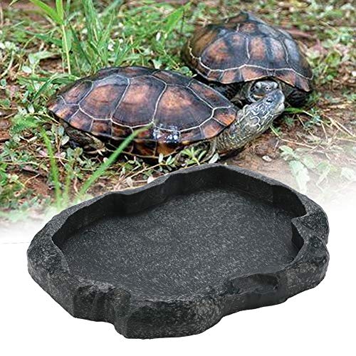 Sheens Alimentador de Reptiles, Resina de Roca Reptil Alimento y Agua Recipiente de alimentación Terrario para Mascotas Plato de Plato para Tortuga Lagarto Iguana de camaleón(M-Verde)