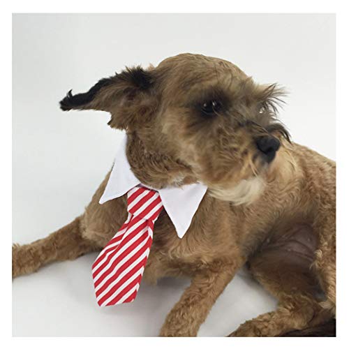 SIPLIV 3 Piezas Perro Gato Mascota Raya Corbata de Lazo Corbata Traje de Mascota Cuello de Corbata Ajustable para Perros pequeños Accesorios de Aseo Cachorro - l (Negro, Rosa Rojo, Azul)