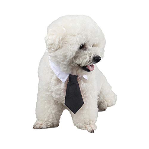 SIPLIV 3 Piezas Perro Gato Mascota Raya Corbata de Lazo Corbata Traje de Mascota Cuello de Corbata Ajustable para Perros pequeños Accesorios de Aseo Cachorro - l (Negro, Rosa Rojo, Azul)