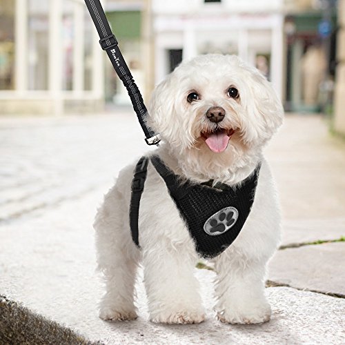 SlowTon Arnés para automóvil,(Sin cinturón de Seguridad) Arnés de Chaleco para Mascotas para Perros Seguridad en el Coche Cuello Ajustable y Correa para el Pecho