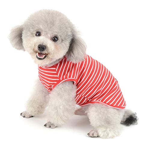 SMALLLEE_LUCKY_STORE Ropa para Mascotas