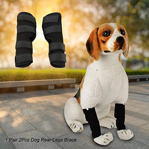 Smandy Almohadillas para la Rodilla del Perro, 1 par de Perro Patas traseras Brace Mascota Lesión quirúrgica Vendaje del Vendaje Cura Protector de la Herida(Negro, m)