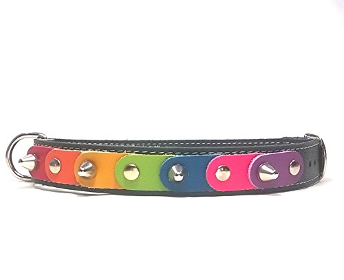 Superpipapo Original Collar para Perros, Todas Las Tallas, Correa Opcional, Diseño Orgullo Gay con los Colores Arcoiris Arco-Ciel, Mediano, 45 cm S-Wide: Cuello 30-35 cm, Ancho 28mm