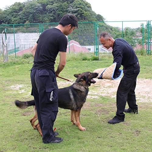 SWEET DEVIL Manga Mordedor de Tela Francesa para Entrenamiento Canino Juego de Morder para Perro Joven o Adulto Manga con un Asa Interior