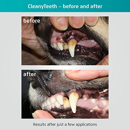 Techmira Cleany - Cepillo de Dientes para Perros