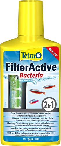 Tetra FilterActive 250 ml - Contiene bacterias iniciadoras vivas y bacterias limpiadoras reductoras de lodo