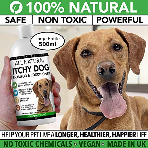 The Healthy Dog Co Champú para Perros Que Pica | Alivio de la Comezón y Cuidado de la Piel | Tratar la Picazón, la Piel Agrietada y Las Heridas