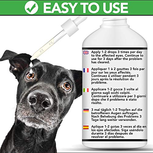 The Healthy Dog Co Colirio para Perros, Gatos y Mascotas - con Plata coloidal para conjuntivitis - Limpiador de Ojos Seguro y de acción rápida