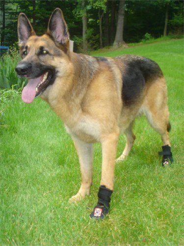 Thera-Paw - Botas protectoras acolchadas para dolores o lesiones en las patas