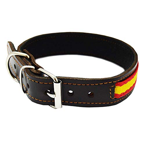 Tiendas LGP - Collar para Perros de Piel Flor con Bandera de España. 2,5 x 53 cm, Marrón