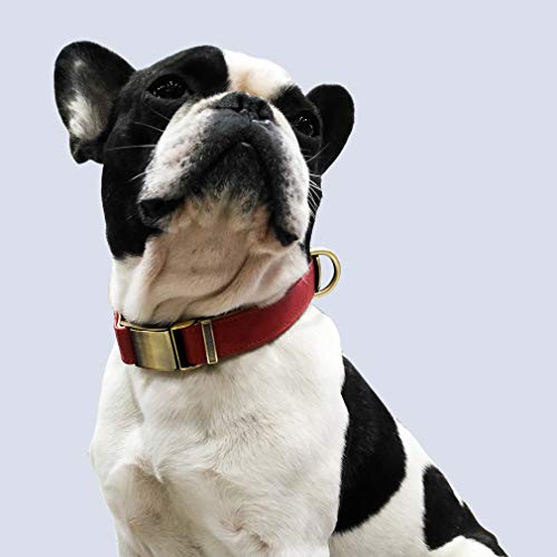 Tineer Ajustable Collar de Perro de Cuero básico clásico - Cinturón de Seguridad de la Hebilla Suave para el Medio Perro Razas Pequeñas Uso Diario (L(Neck 13.7-20.4''), Rojo)