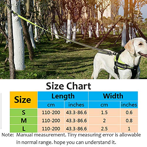 Tineer Pet Ajustable 2 Perros Manos Libres de Nylon Multifuncional Correa de Plomo Reflexiva para Perros de Entrenamiento para Caminar Correas para Perros (M, Negro)