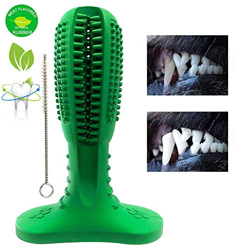 Tlich Cepillo de Dientes Perro,Palo Juguete para Masticar,Limpiador Dientes Perros, para Perros pequeños,Regalo para el Amante de Las Mascotas (Verde)