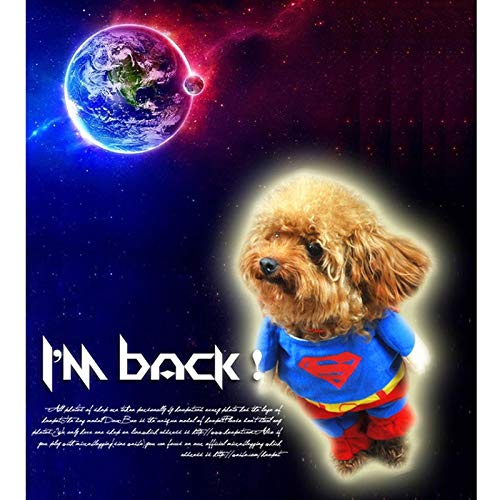 Traje del perro mascota del hombre araña, ropa for perros, mascotas, cachorros, mono for mascotas, Superman, capas, mascotas, disfraces, ropa de fiesta de Halloween, abrigo de invierno for perros.