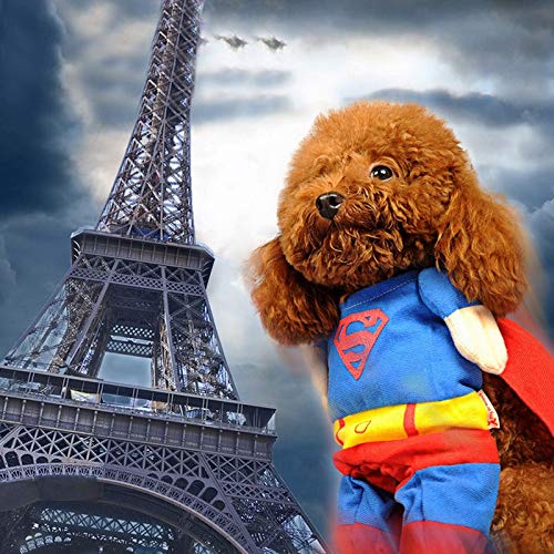 Traje del perro mascota del hombre araña, ropa for perros, mascotas, cachorros, mono for mascotas, Superman, capas, mascotas, disfraces, ropa de fiesta de Halloween, abrigo de invierno for perros.