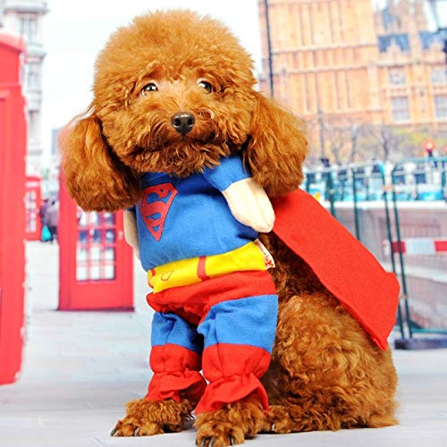 Traje del perro mascota del hombre araña, ropa for perros, mascotas, cachorros, mono for mascotas, Superman, capas, mascotas, disfraces, ropa de fiesta de Halloween, abrigo de invierno for perros.