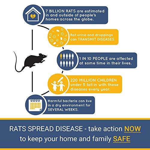 Trampas para Ratas Kraftex - Atrape Roedores Rápidamente [Paquete de 6] [Veloz y Efectivo] Paquete de Trampas [Fácil de Usar, Cero contacto con Ratas] Protege Niños, Mascotas y Ganado Contra