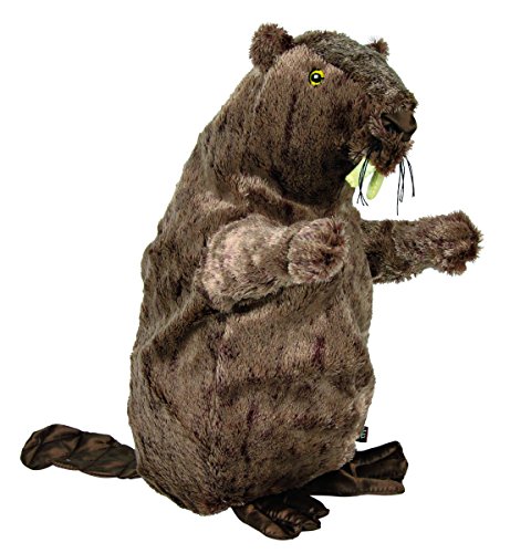 Trixie 35918 Castor, Peluche, 40 cm