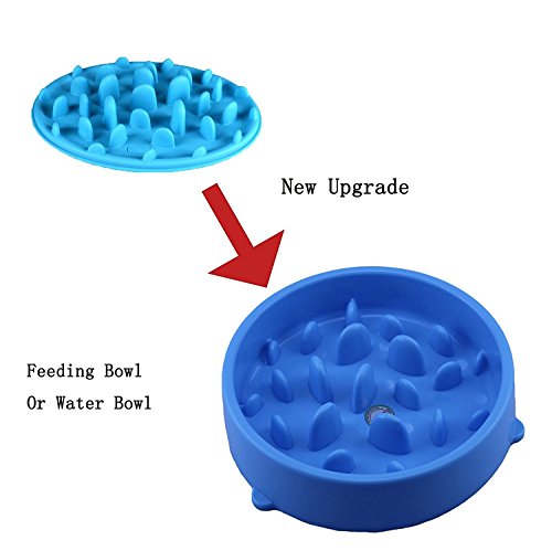 Txyk Lento Cuenco de Perro de Alimentación Comedero Antivoracidad para Perros de Comida para Mascotas - Slow Down Eating, Azul 20 CM