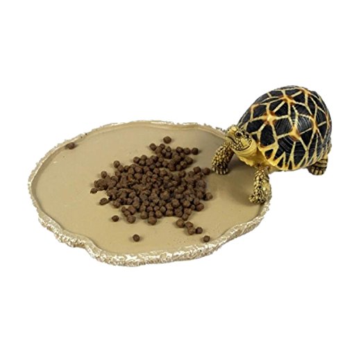 UEETEK - Recipiente de resina para comida o agua para reptiles