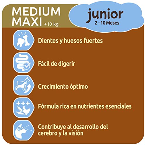 ultima Pienso para Perro Medium - Maxi Junior con Pollo, Pack de 3 x 3 kg - Total 9 kg