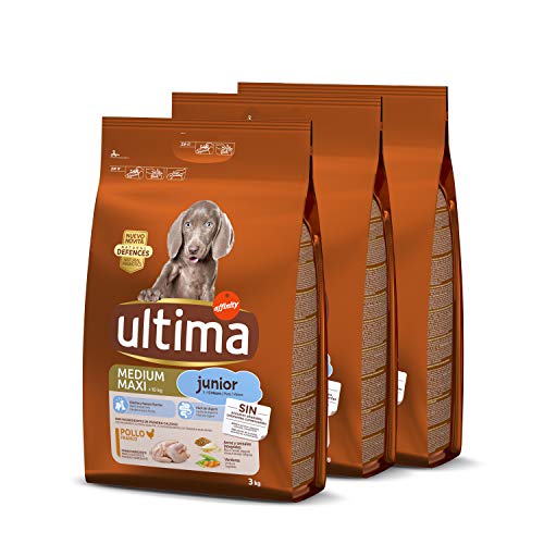 ultima Pienso para Perro Medium - Maxi Junior con Pollo, Pack de 3 x 3 kg - Total 9 kg