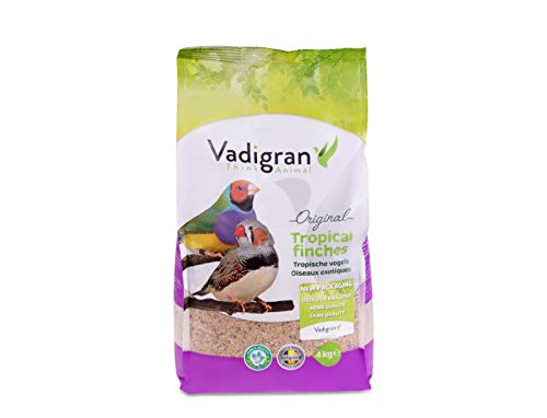 VADIGRAN Comida para pájaro exótico 4 kg