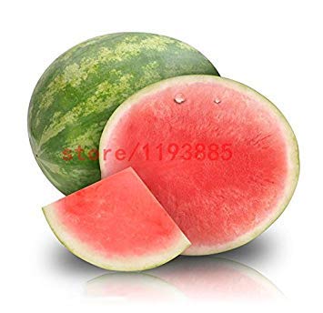 Vista 30pcs graines de Melon Sans pépins graines de Melon d'eau Fruits variété de plantes fraîches fraîches d'été Plante de bonsaï pour la Maison Jardin Comme Cadeau d'enfant