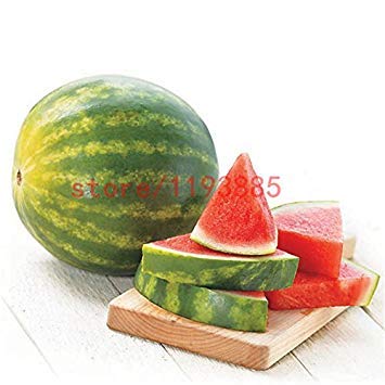 Vista 30pcs graines de Melon Sans pépins graines de Melon d'eau Fruits variété de plantes fraîches fraîches d'été Plante de bonsaï pour la Maison Jardin Comme Cadeau d'enfant